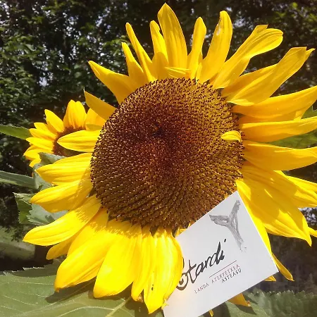 Auberge de jeunesse Otardi *