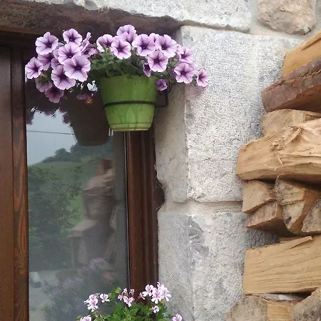 Auberge de jeunesse Otardi *