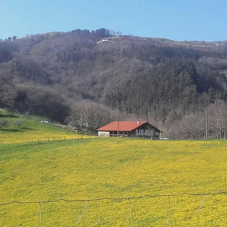 Otardi