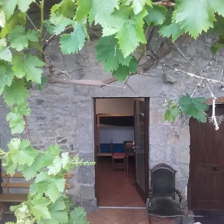 Otardi